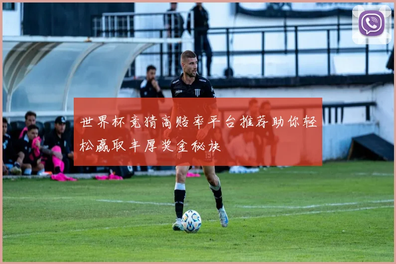 世界杯竞猜高赔率平台推荐助你轻松赢取丰厚奖金秘诀