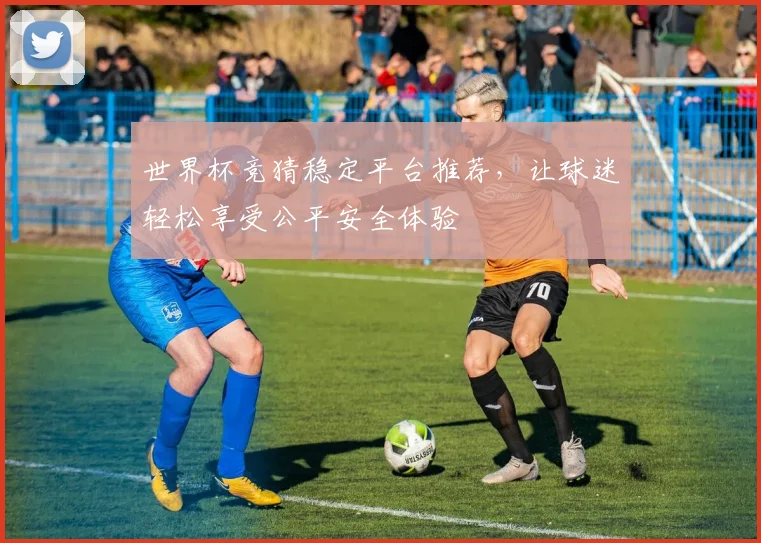 世界杯竞猜稳定平台推荐，让球迷轻松享受公平安全体验