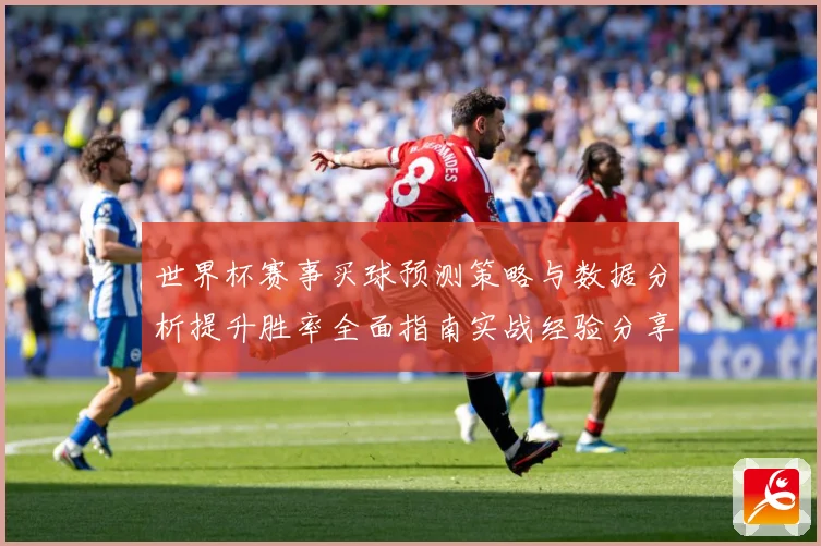 世界杯赛事买球预测策略与数据分析提升胜率全面指南实战经验分享
